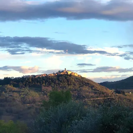 Bazjaki - Beautiful Stone In Istria With Private Pool